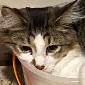 Meet your Posher, Makala